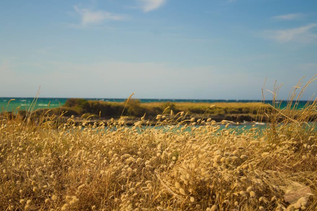 Borgo Degli Artisti Villa Ostuni Eksteriør bilde